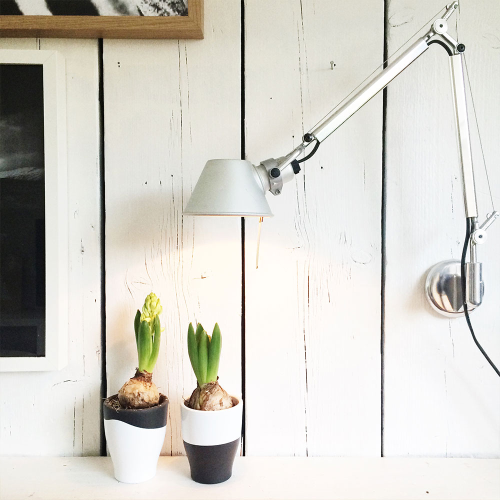 Die Tolomeo Wall Wandleuchte mit gro&szlig;er Reichweite, ideal f&uuml;r Leseecken, Homeoffice-Arbeitspl&auml;tze und die Beleuchtung von Kunstwerken oder Regalen.